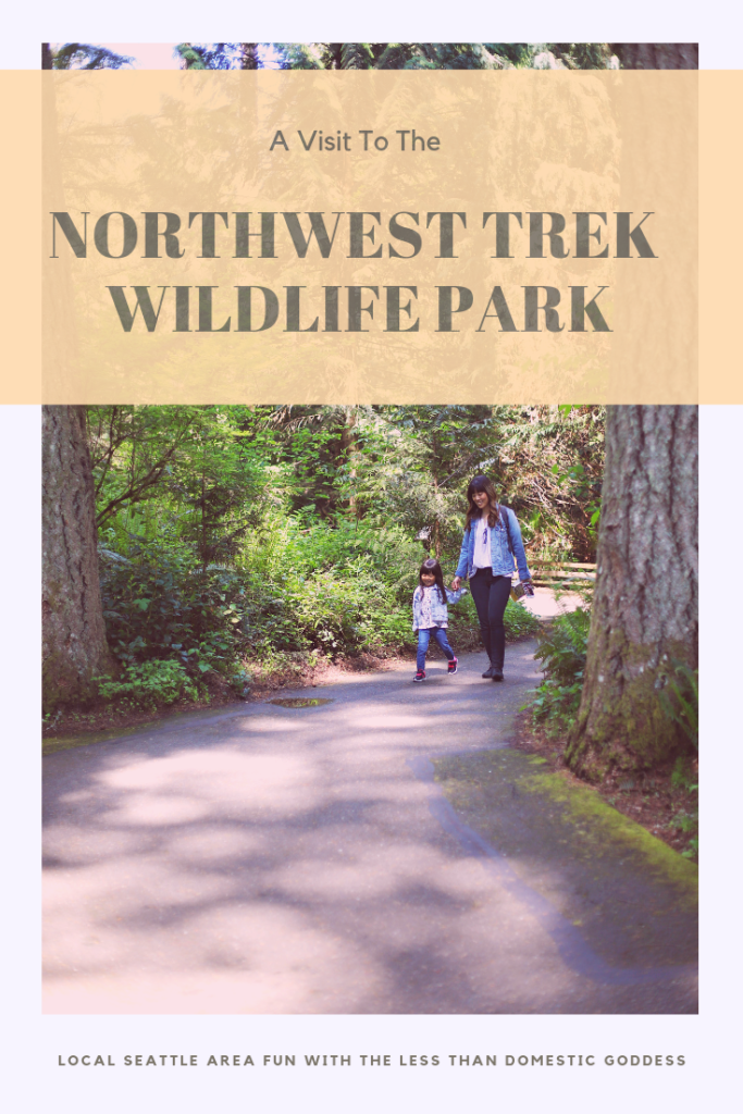 A Visit to the Northwest Trek Wildlife Park in Eatonville, WA – The ...